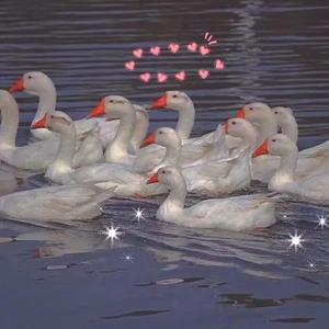 裸体裸乳被🍑国产
