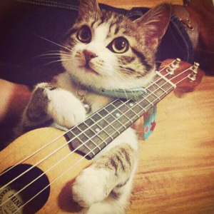 裸体裸乳被🍑国产
